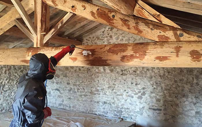 traitement de la charpente